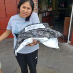 WhatsApp Image 2024-06-04 at 06.38.51 (2)